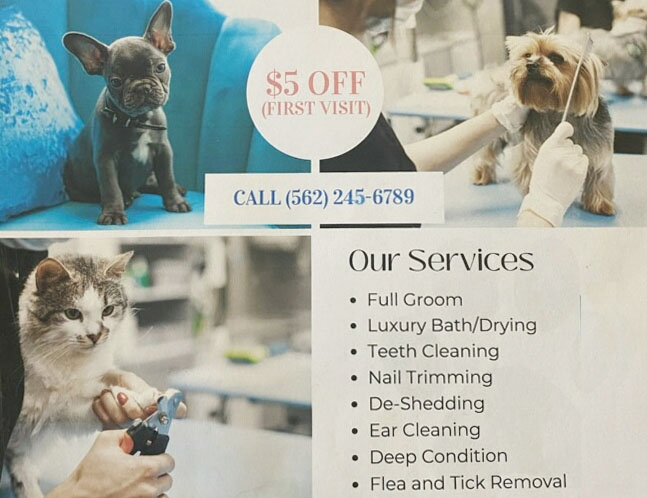 Pet grooming, dog grooming, cat grooming